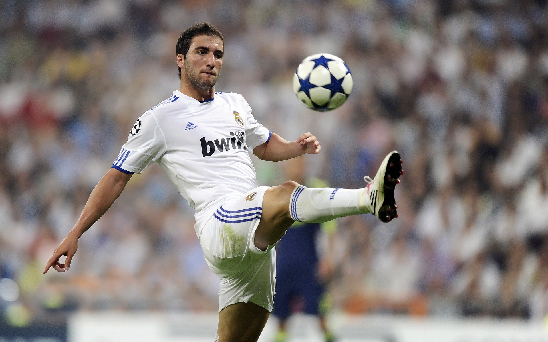 勒沃库森中场核心回归，勒沃库森夏季转会