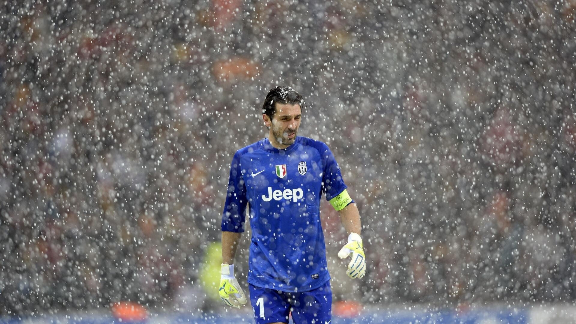 彼得堡联锋线效率飙升，波什军团盼三连胜，彼得堡的位置